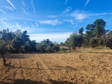 Terreno rustico in vendita a Cretas