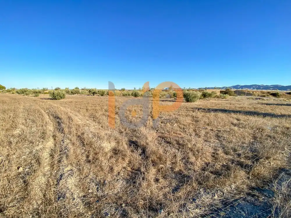 Terrain rustique à vendre à Huércal-Overa, imagen 7