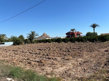 Terreno rustico in vendita a Pedanías Este