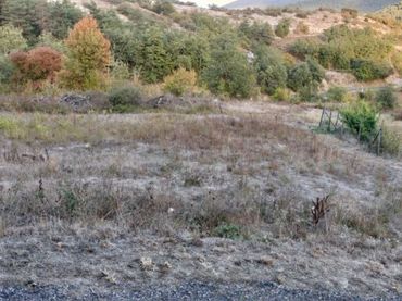 Lands and plots for sale in Medina de Pomar