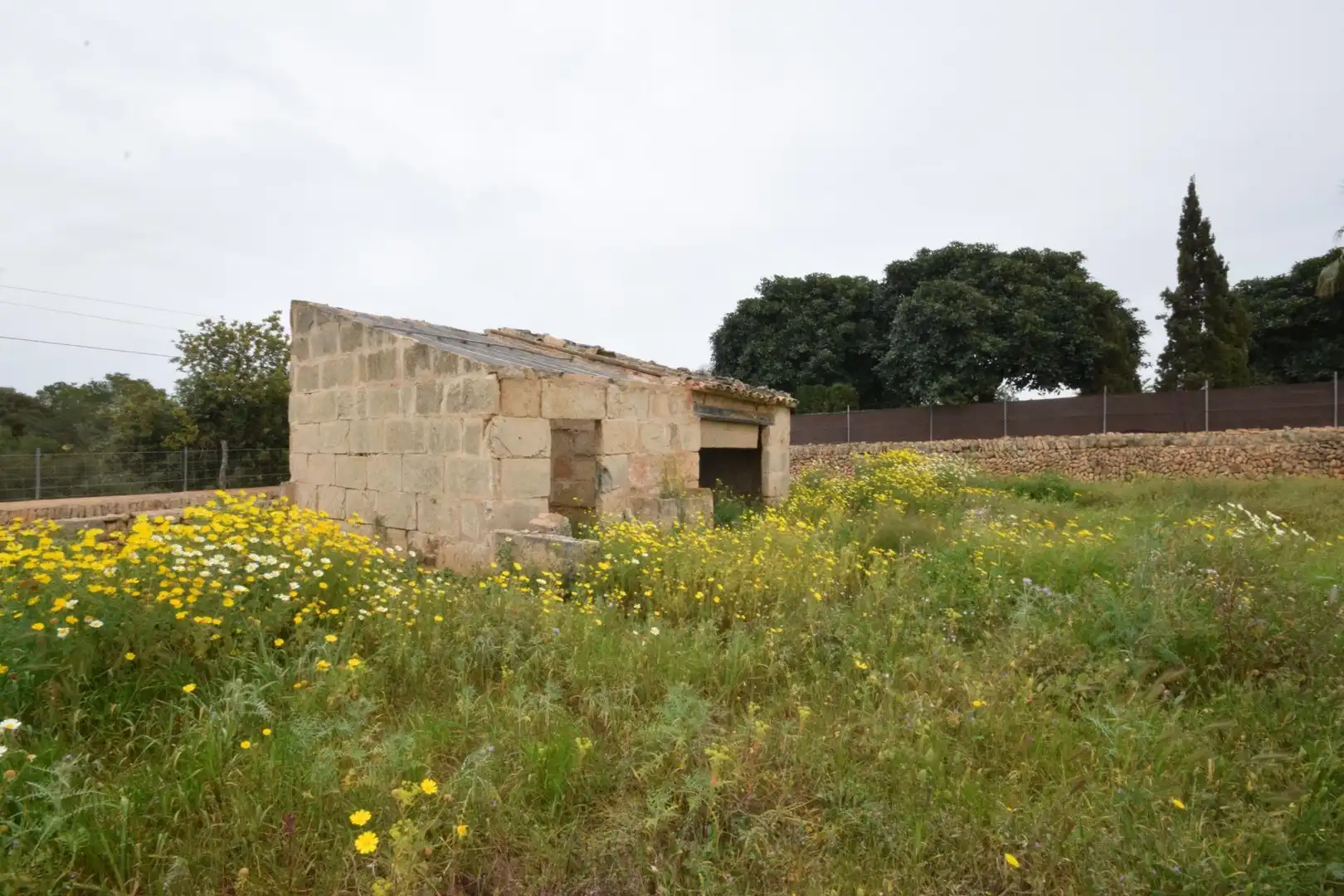 Residencial en venta en S'Aranjassa