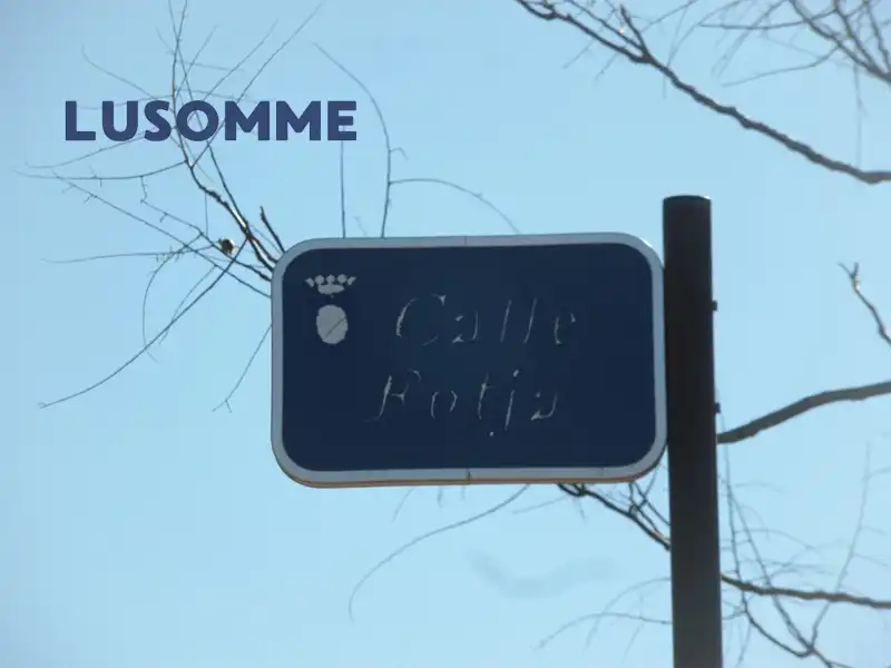 Industriegrundstück zum Verkauf in Calle Fotja, imagen 9