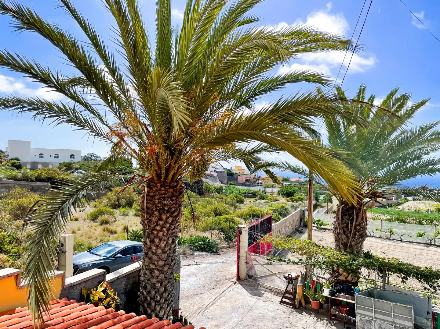Vista exterior de Casa o chalet en venta en Granadilla de Abona con Jardín privado, Terraza y Amueblado