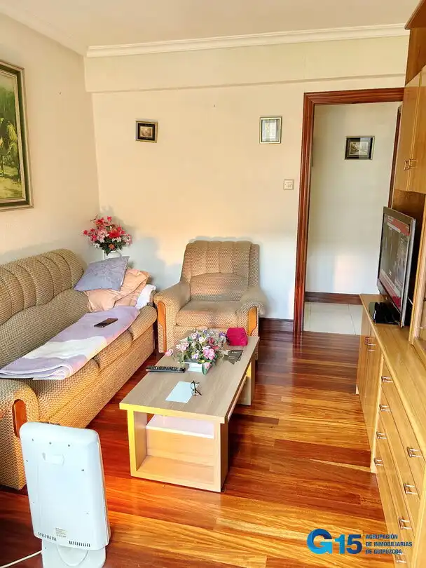Sala d'estar de Pis en venda en Hernani amb Calefacció