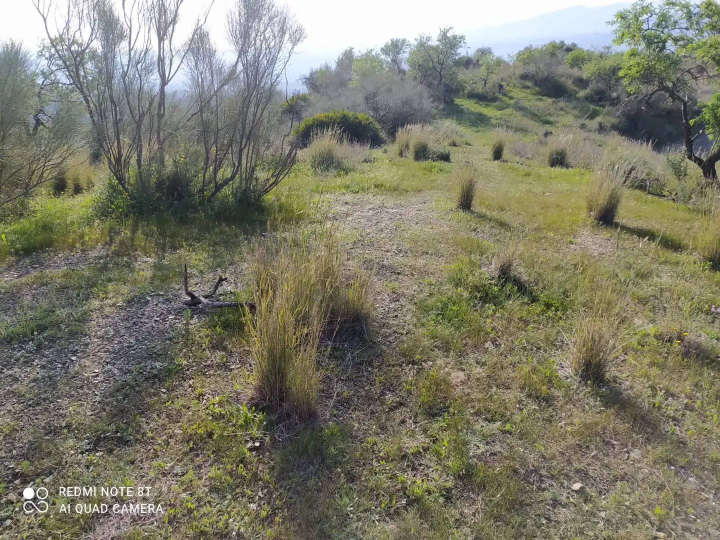 Rural land for sale in Nueva Aljaima - Las Tres Leguas - Los Mondeños, imagen 7