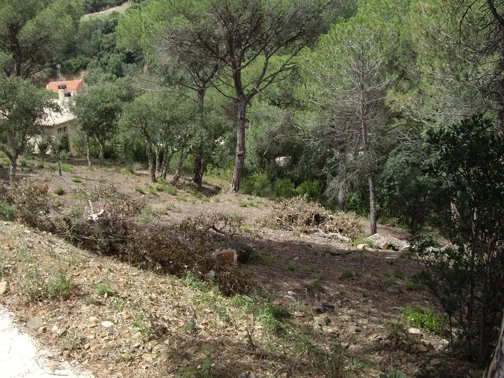 Terrain résidentiel à vendre à Alzina, imagen 3