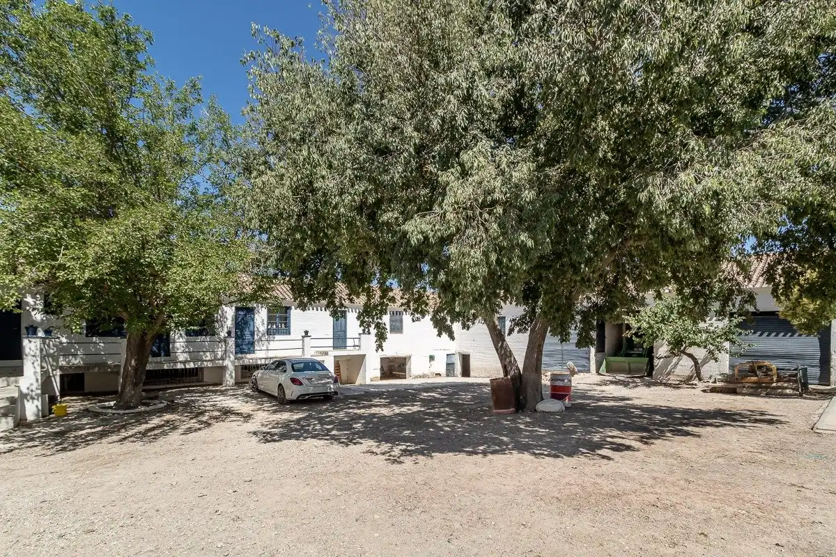 Vista exterior de Finca rústica en venta en Moclín con Piscina