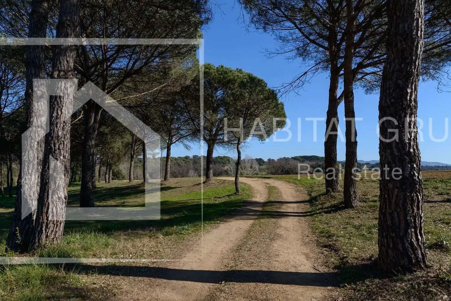 Terrenos y solares en venta en Maçanet de la Selva pueblo, imagen 18