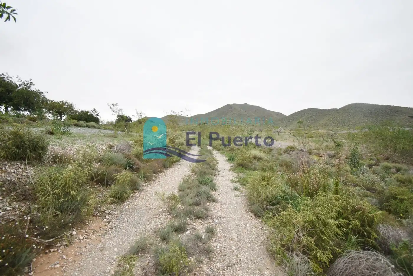 Terreno rústico en venta en Pedanías Oeste, imagen 8
