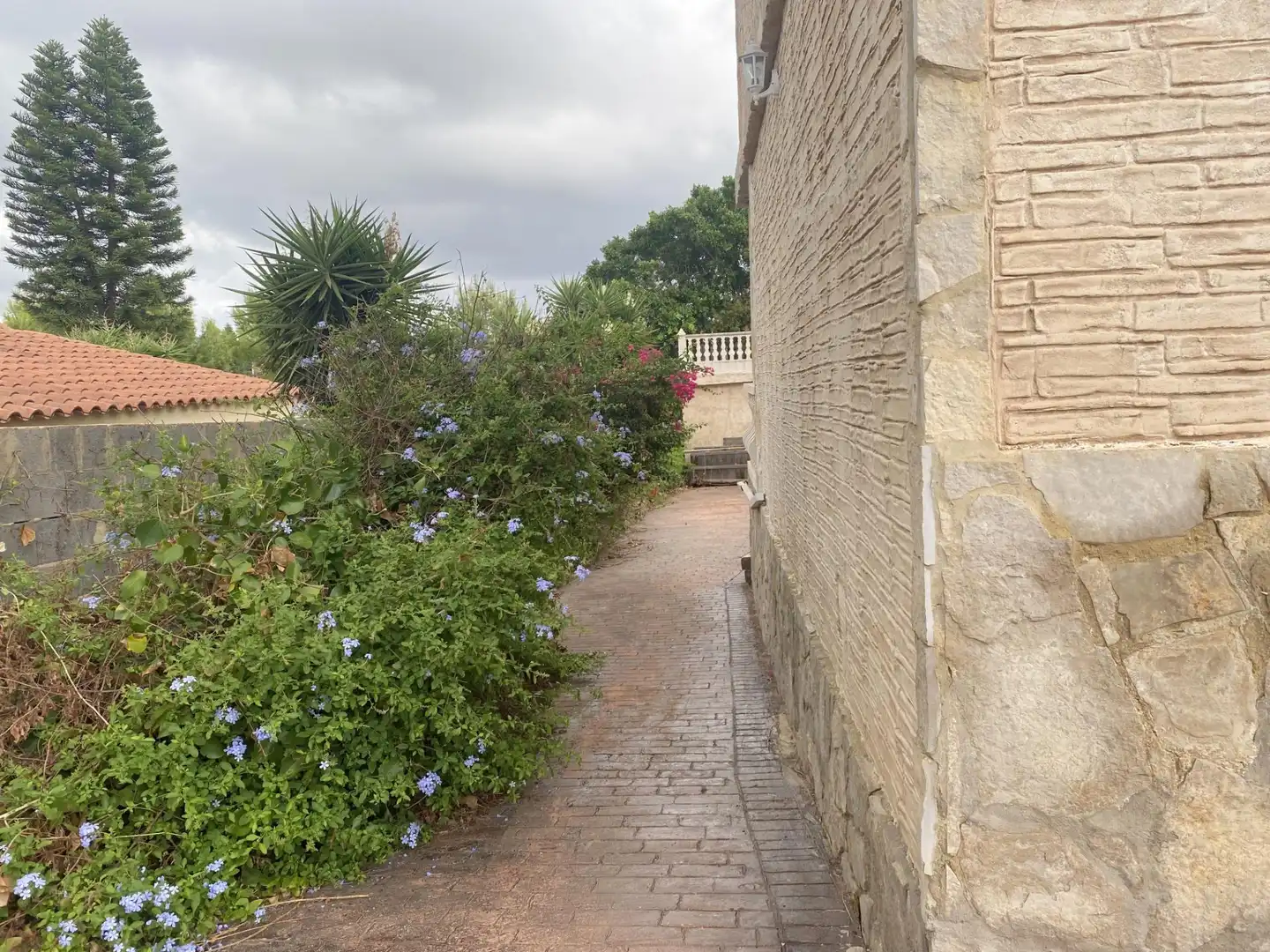 Exterior view of Houses for rent in Alginet  with Private garden, Terrace and Swimming Pool