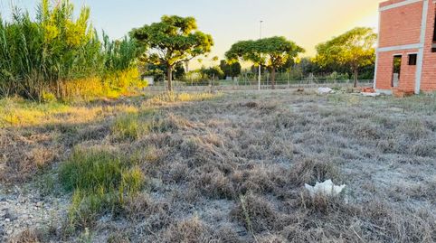 Photo 3 of Industrial land for sale in Bellreguard, Valencia