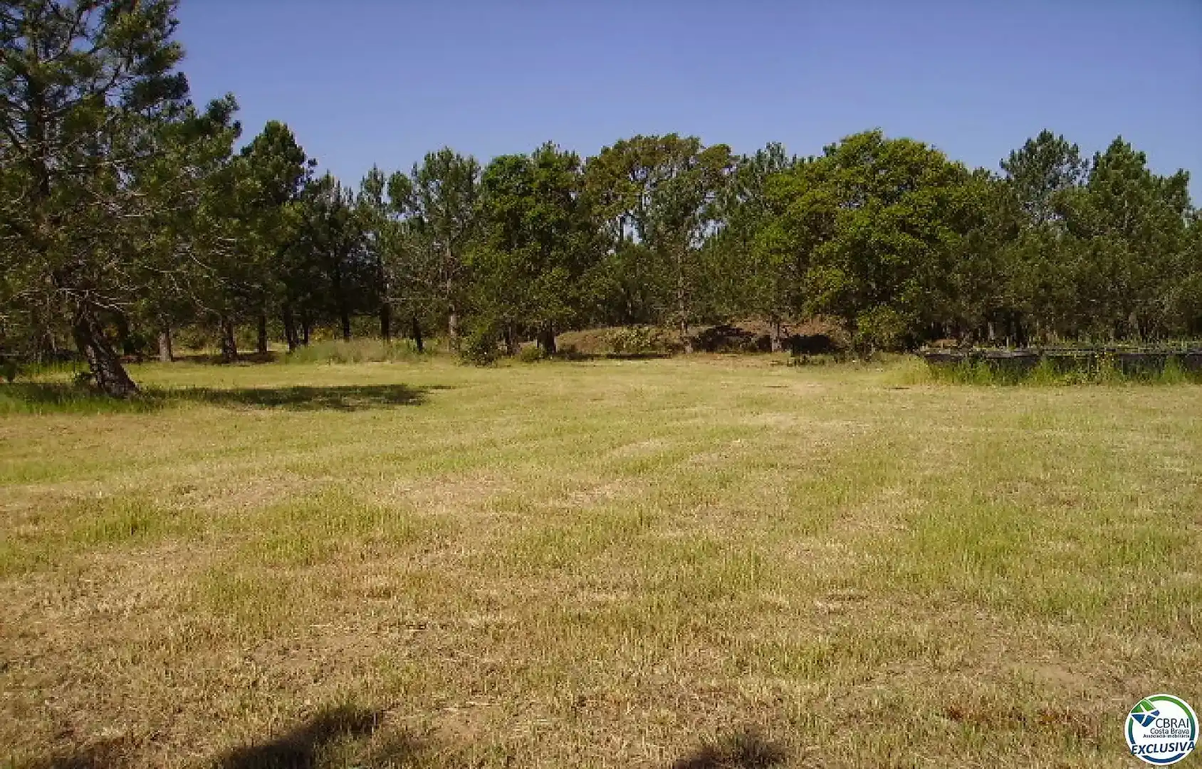 Terreno residencial en venta en Polígono Butaros 181, imagen 4