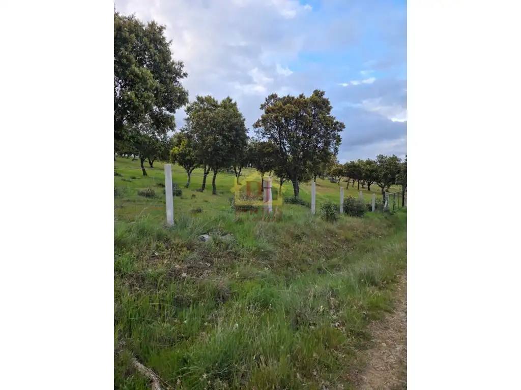 Finca rústica en venta en La Rinconada de la Sierra 