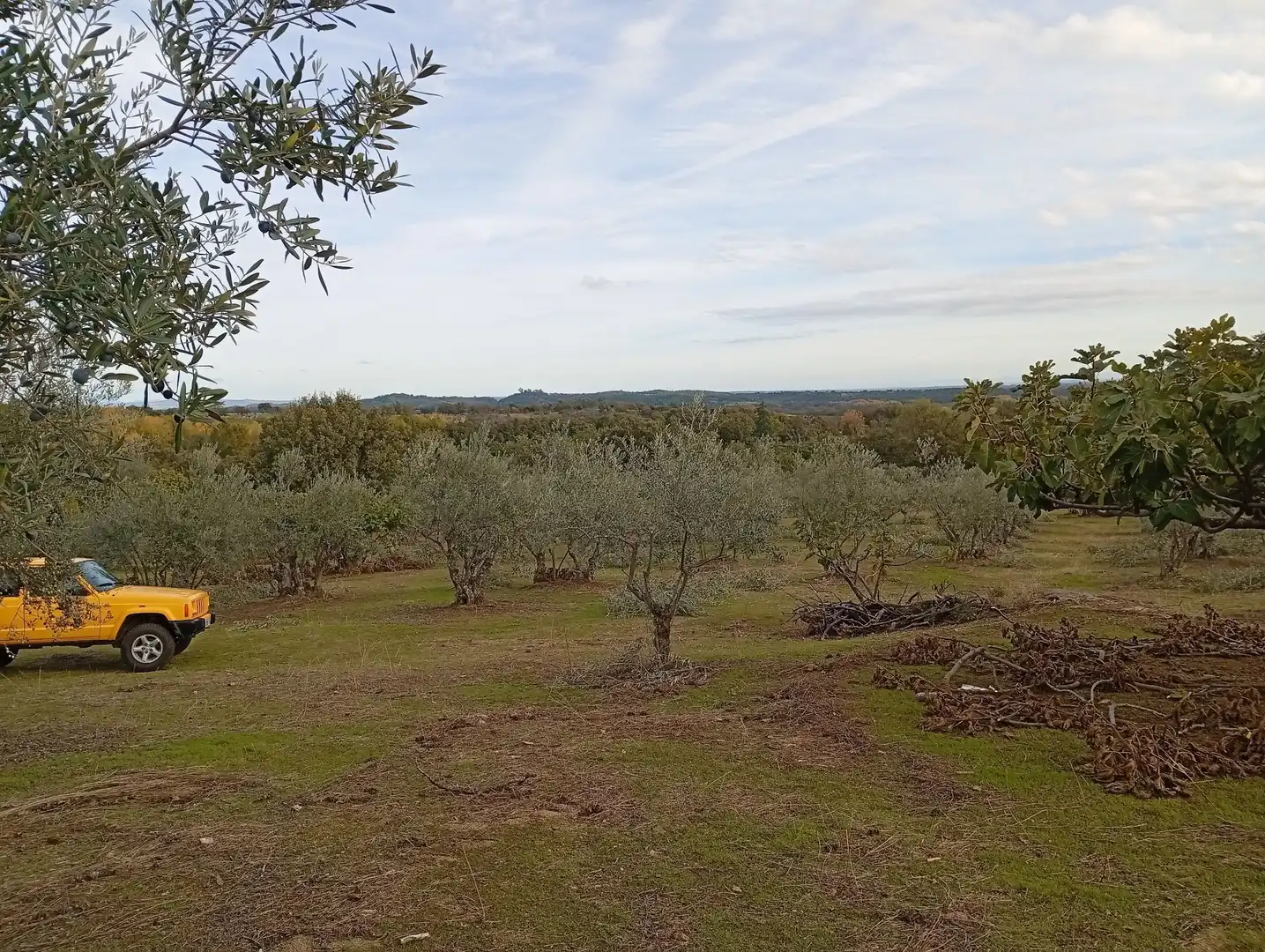 Terreni e lotti in vendita a Villanueva de la Vera, imagen 53