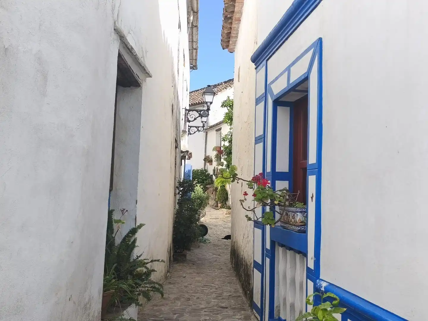 Vista exterior de Casa o chalet en venta en Castellar de la Frontera