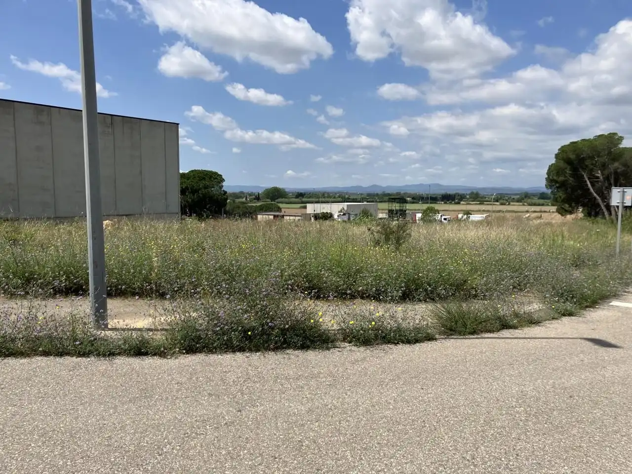 Terreny industrial en venda a Esganyadora, Riells