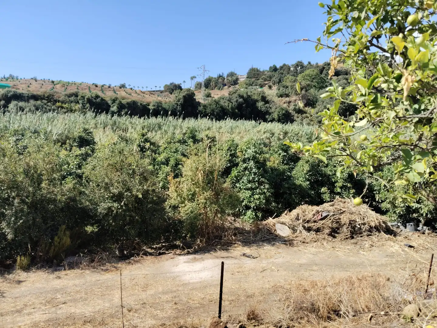 Grundstücke zum Verkauf in Estepona