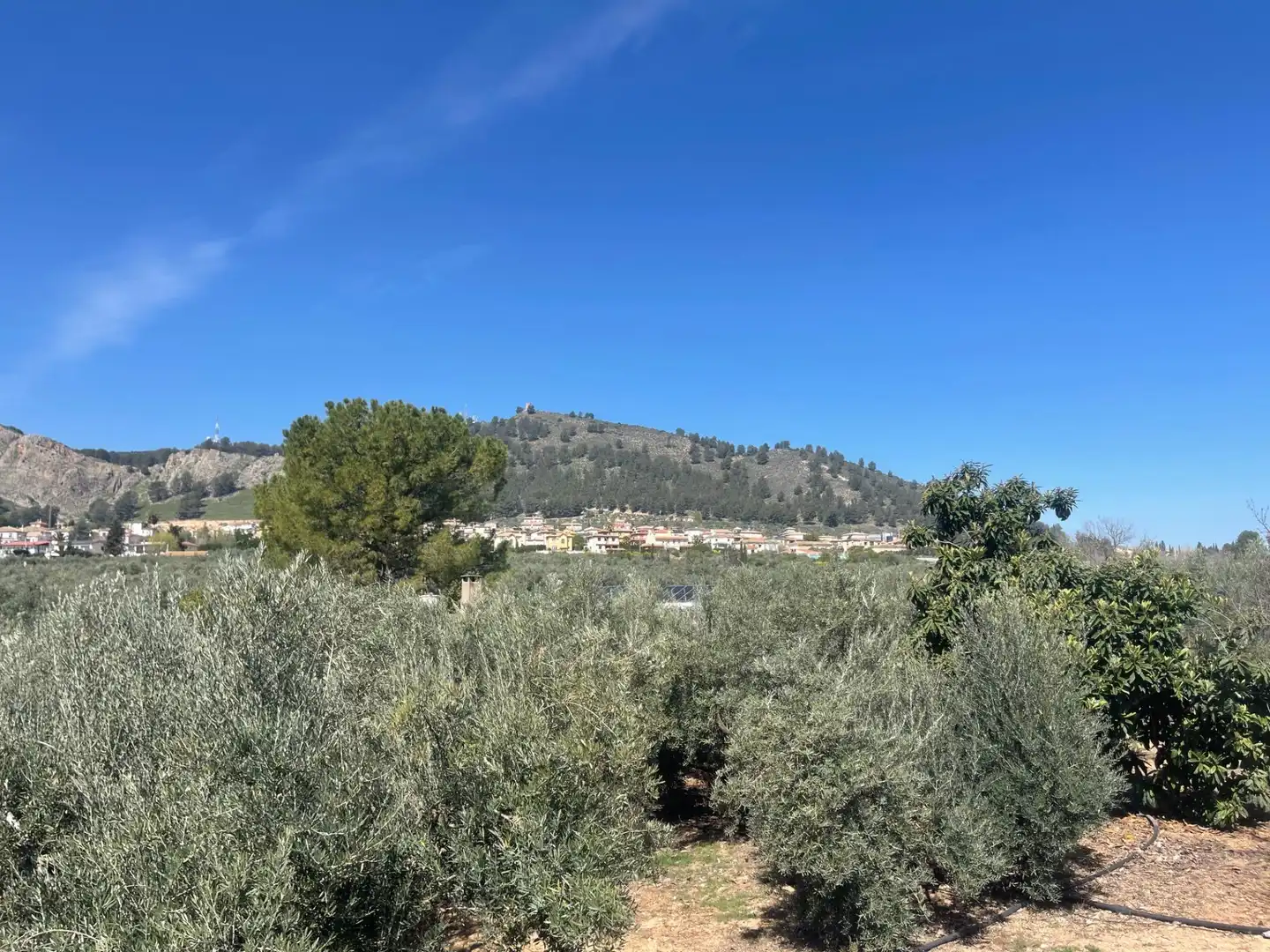 Finca rústica en venda en Albolote amb Piscina