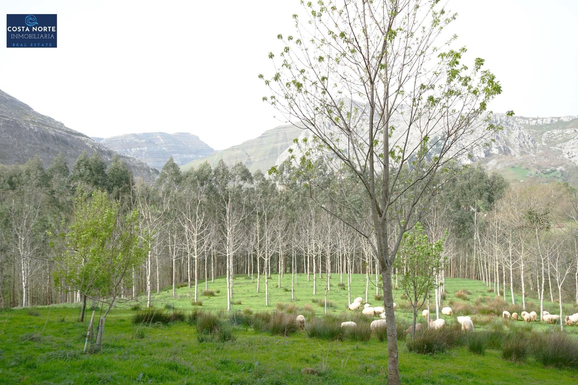 Vista exterior de Casa o xalet en venda en Arredondo amb Calefacció, Jardí privat i Traster