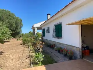 Vista exterior de Finca rústica en venta en Fuente Álamo de Murcia con Calefacción, Jardín privado y Trastero