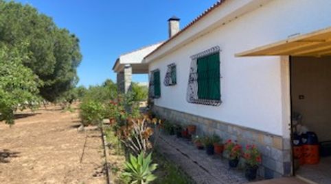 Foto 4 de Finca rústica en venta en Centro, Fuente Álamo de Murcia