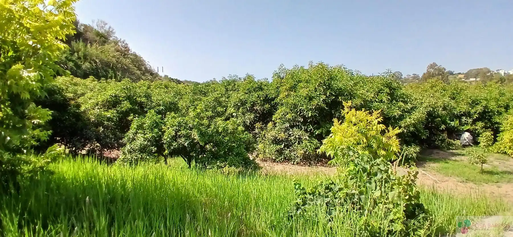 Terreni e lotti in vendita a Benamara - Atalaya, imagen 13
