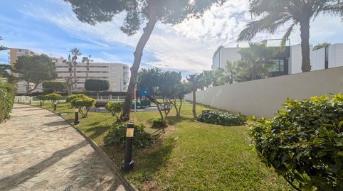 Foto 3 de Pis en venda a Playa Muchavista, El Campello