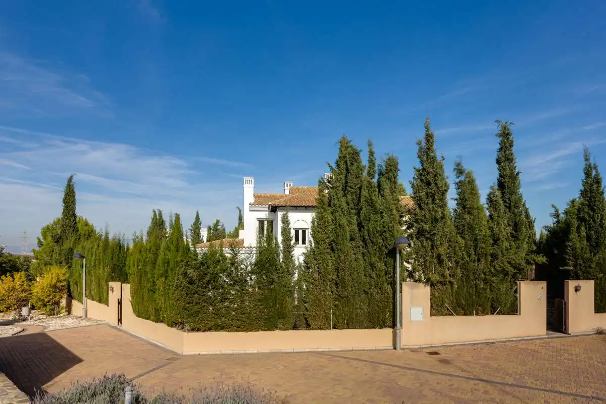 Vista exterior de Casa adosada en venta en Fuente Álamo de Murcia con Amueblado