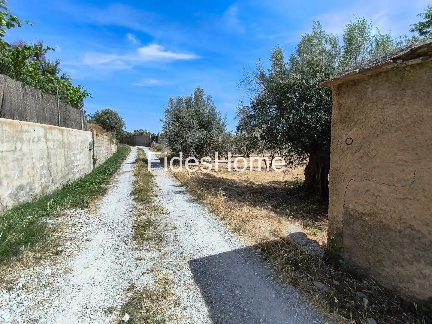 Rural land for sale in XFJ3+526 Nigüelas 0, imagen 5