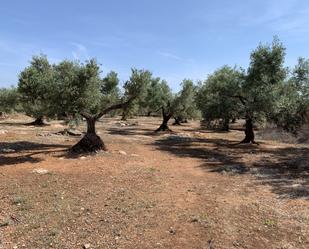 Finca rústica en venda en L'Ampolla