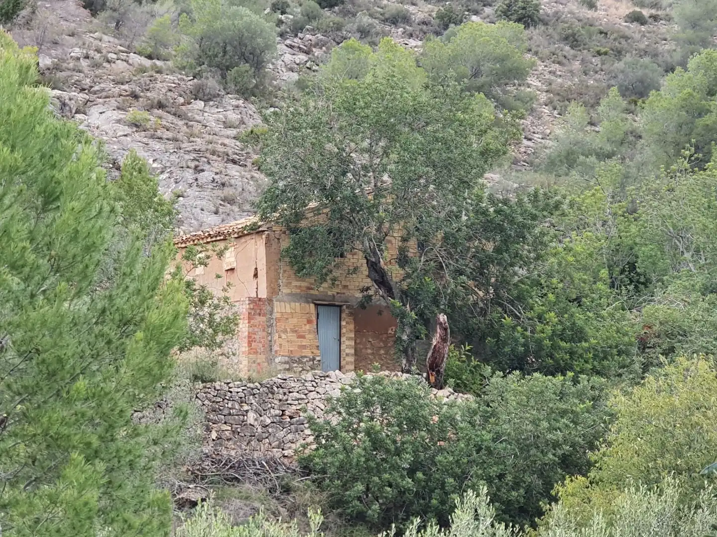 Maison à vendre à Benifallet, imagen 44