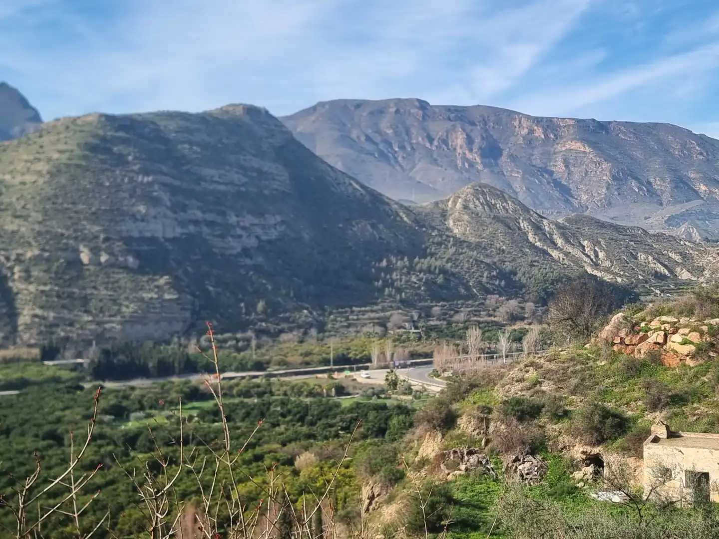 Rural land for sale in Terque, imagen 29