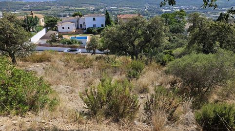 Foto 4 de Residencial en venta en Urbanitzacions, Castell d'Aro, Platja d'Aro i s'Agaró