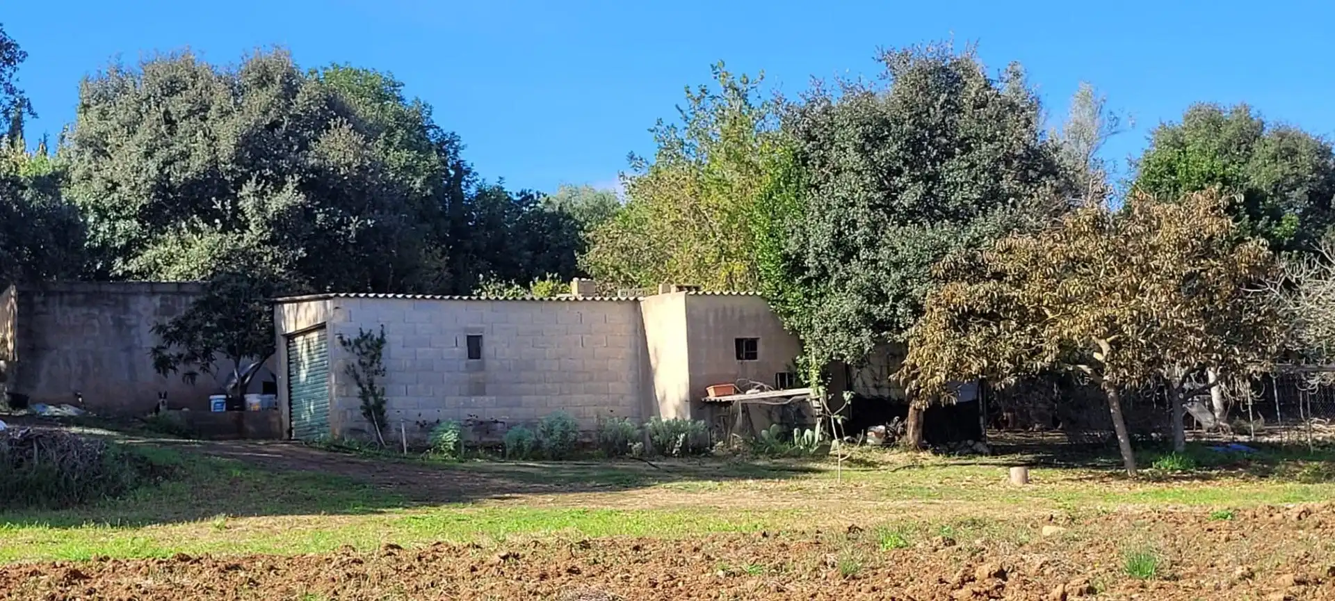 Terreno rústico en venta en Manacor Centre, imagen 2