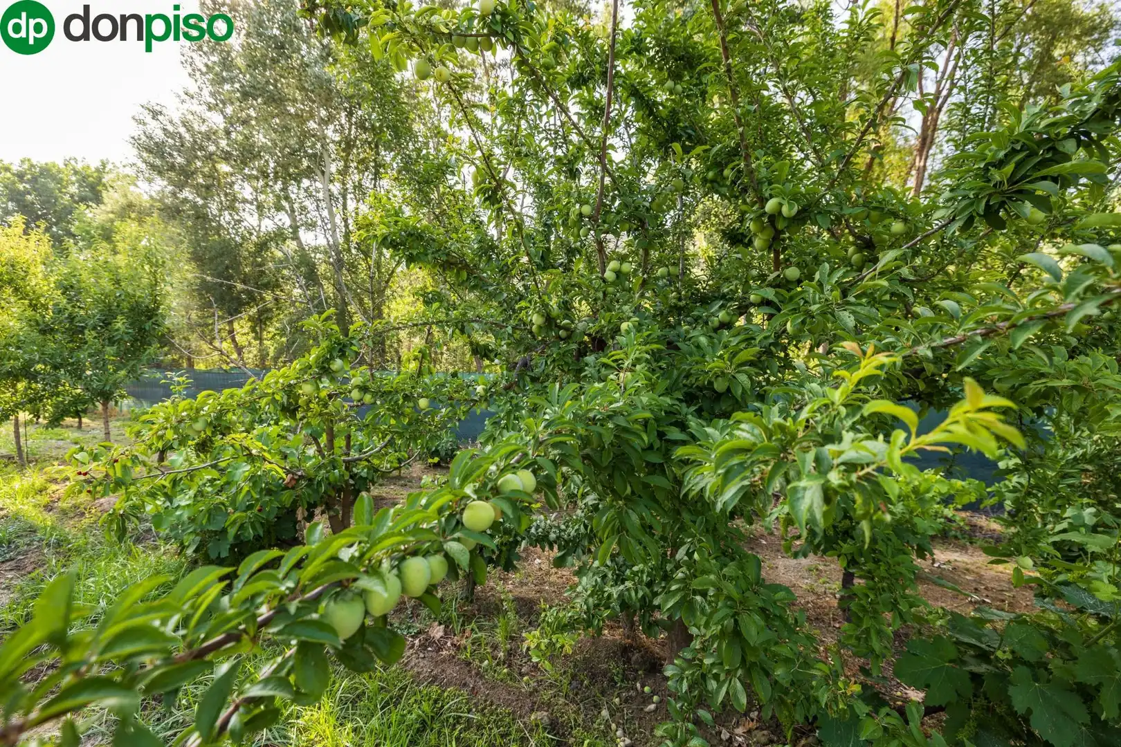 Terreno en venta en Paseo Paseo Duquesa, Pinos Genil