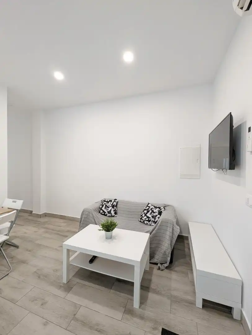 Sala d'estar de Apartament de lloguer en Sevilla amb Aire condicionat i Moblat