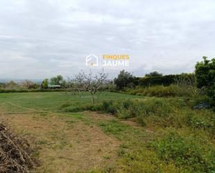 Land for sale in PICOLIN, Almacelles