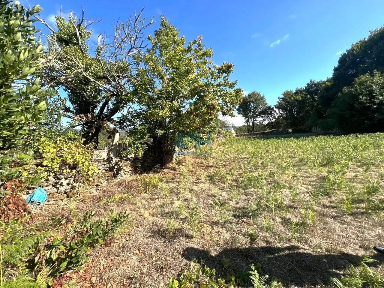 Maison avec jardin à vendre à Paderne de Allariz, imagen 3