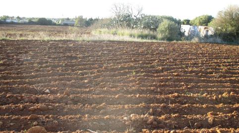 Photo 4 of Country house for sale in Roche, Conil de la Frontera