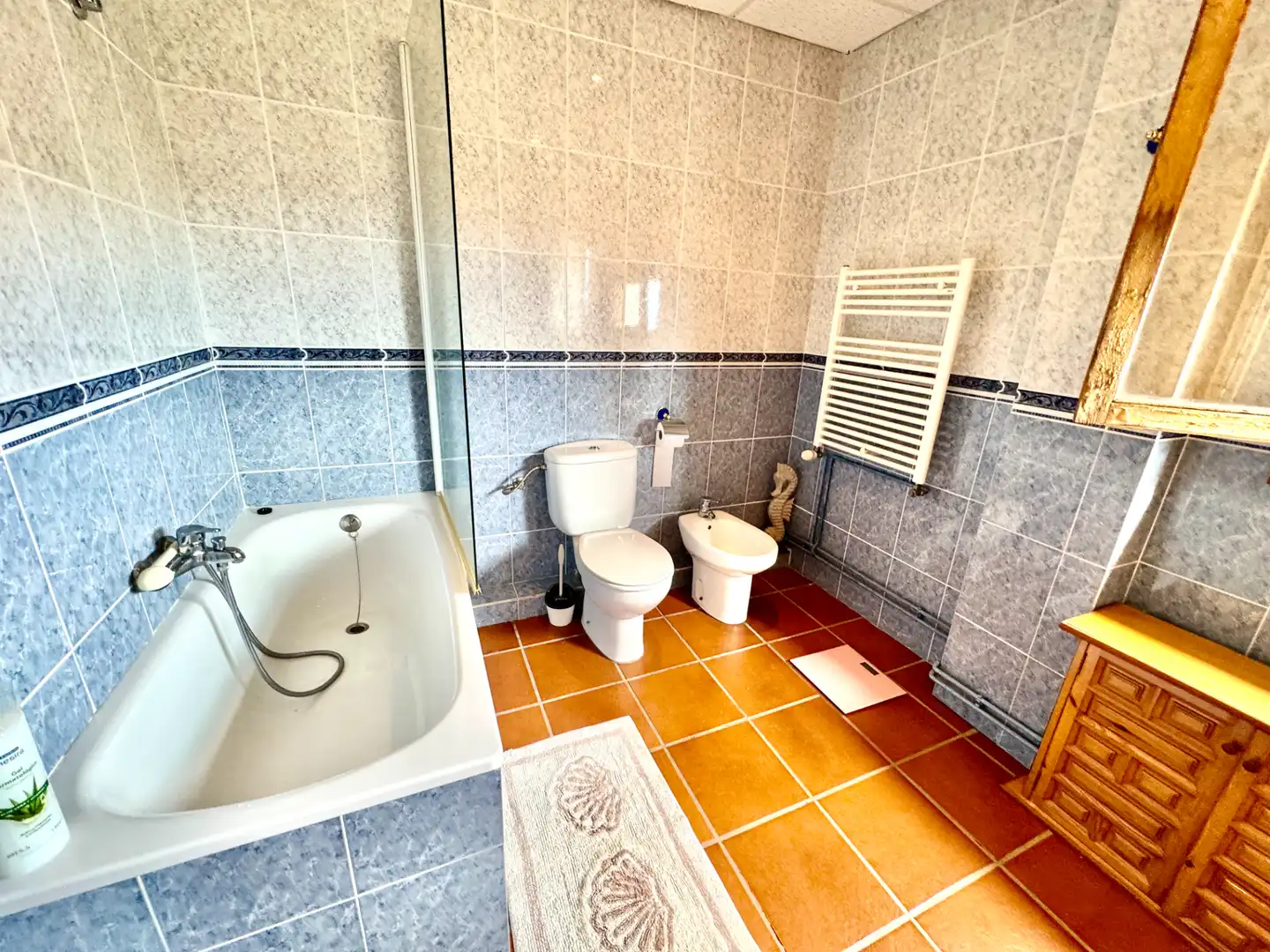 Baño de Casa o chalet en venta en Bérchules con Calefacción, Jardín privado y Terraza