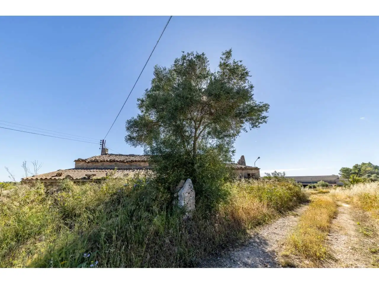 Terreno rustico in vendita a Llucmajor pueblo, imagen 47