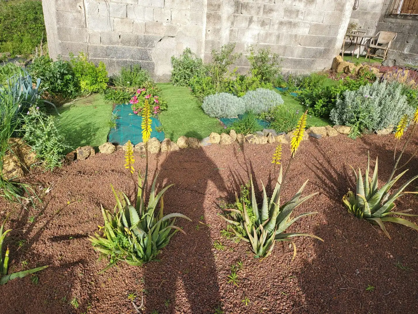 Maison rustique à vendre à Tierra del Trigo, imagen 10