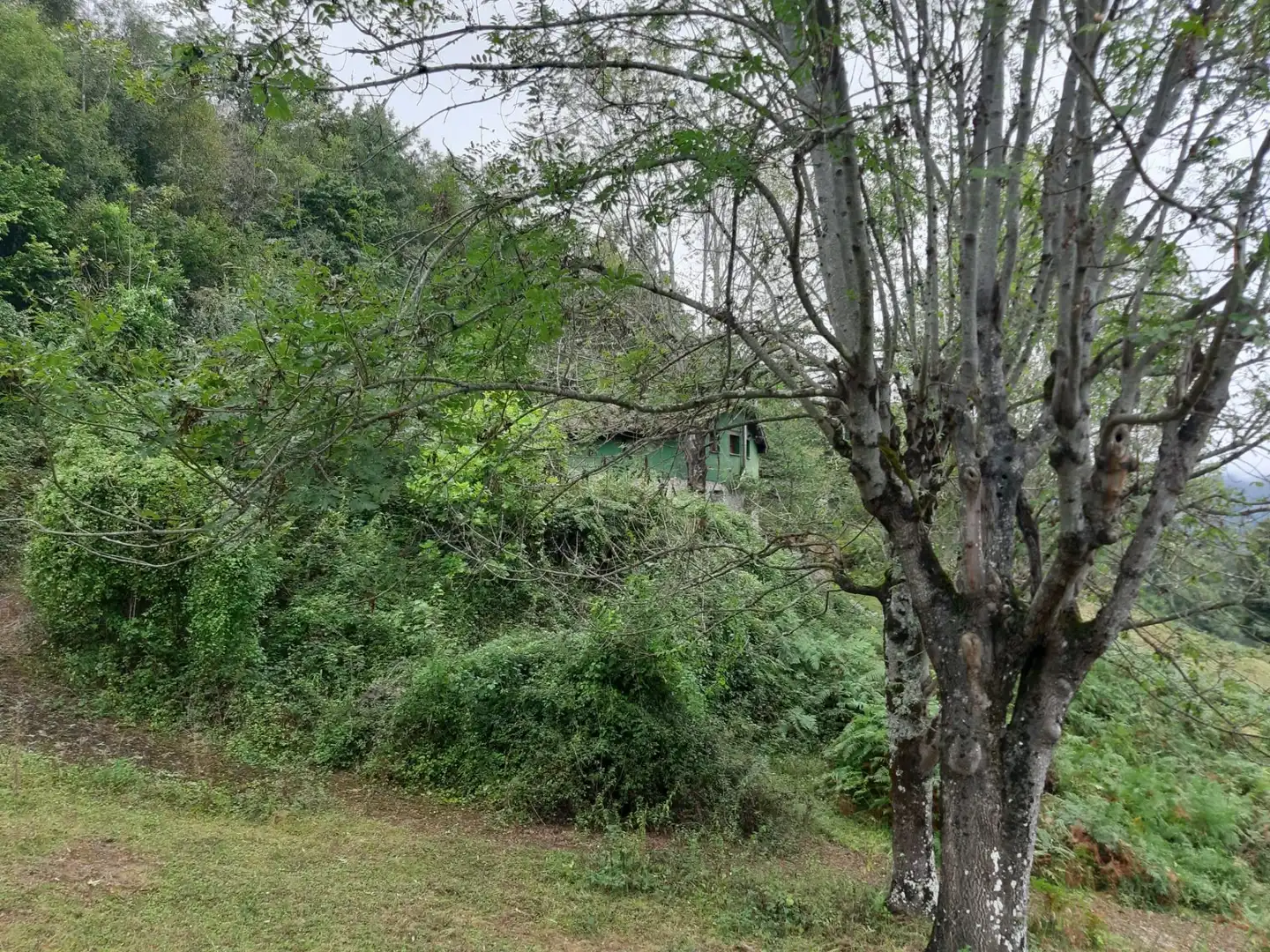 House with garden for sale in Cangas de Onís, imagen 17
