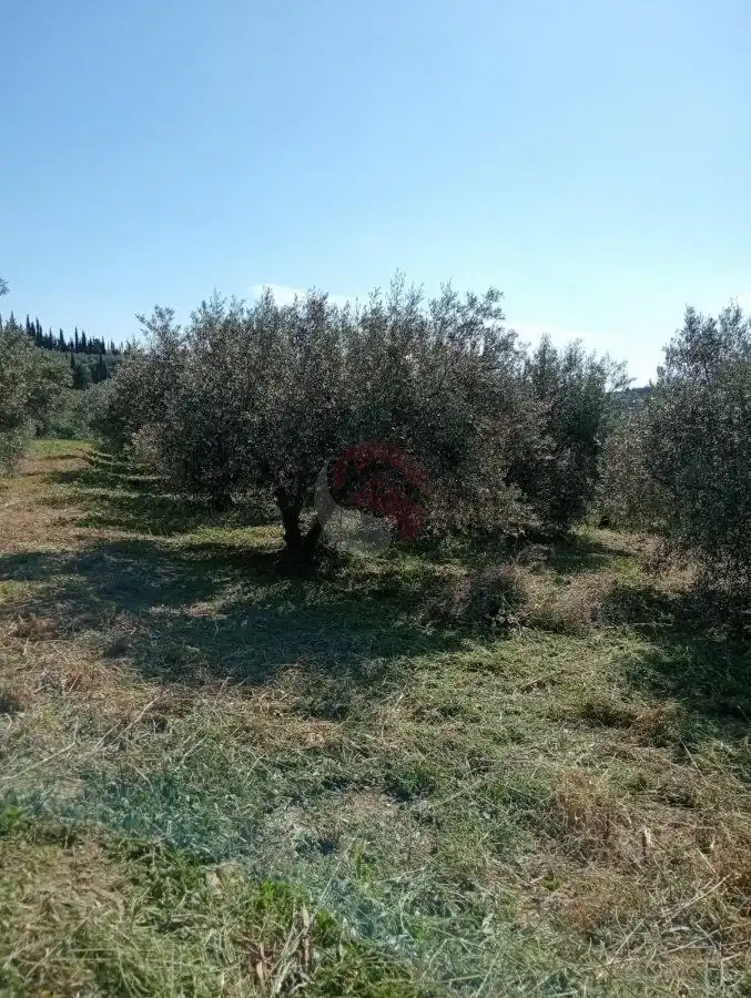 Terreni e lotti in vendita a Estacion de la Alqueria, imagen 18