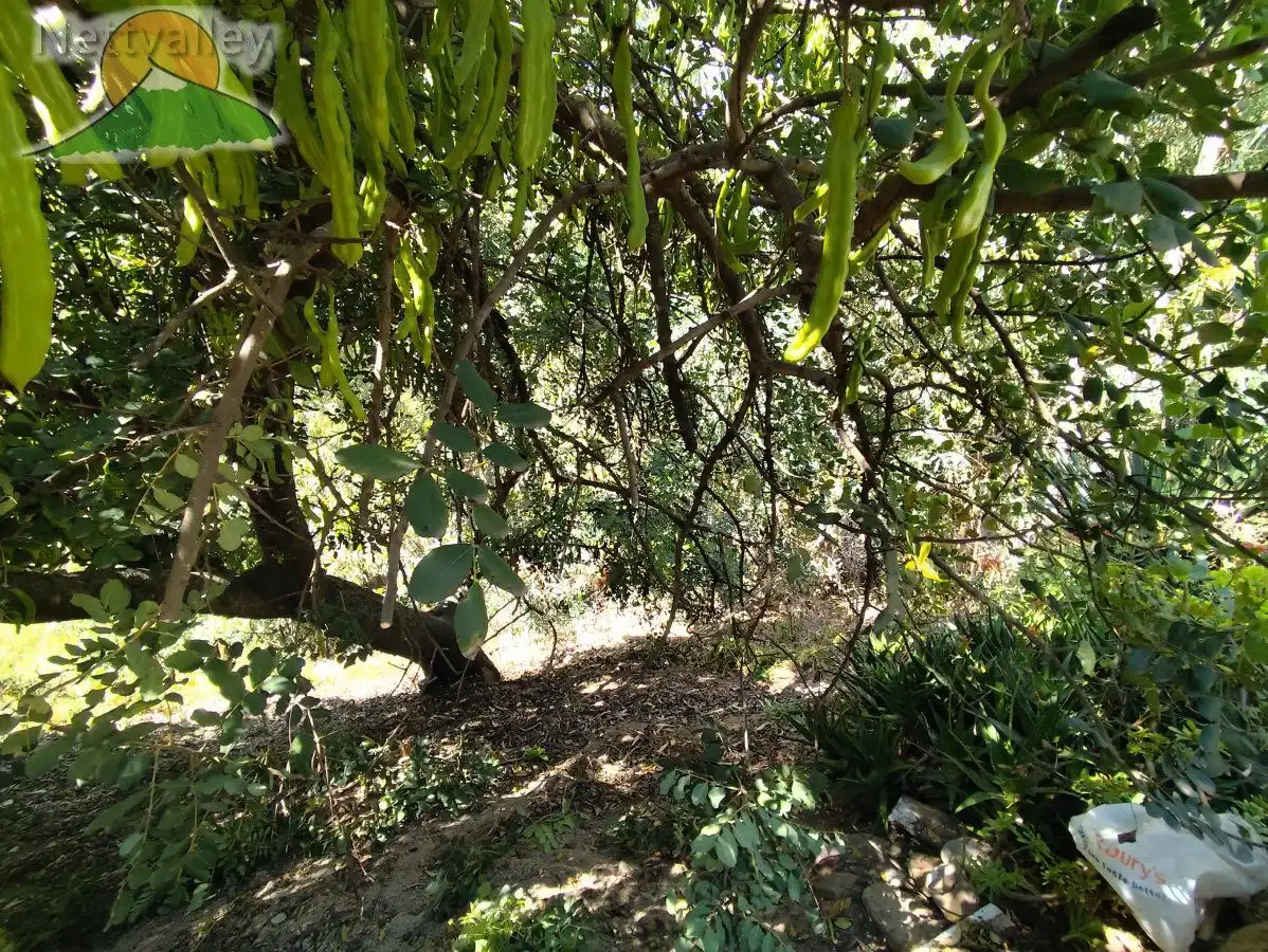 Garden of Country homes for sale in Comares