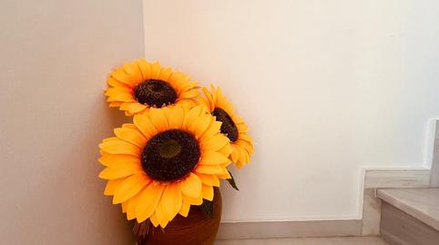 Photo 4 of Single-family semi-detached to rent in C. Pozo Amarguillo, Ayuntamiento - Barrio Alto, Sanlúcar de Barrameda