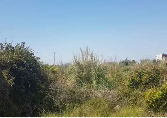 Rural land for sale in Sueca ciudad, imagen 6