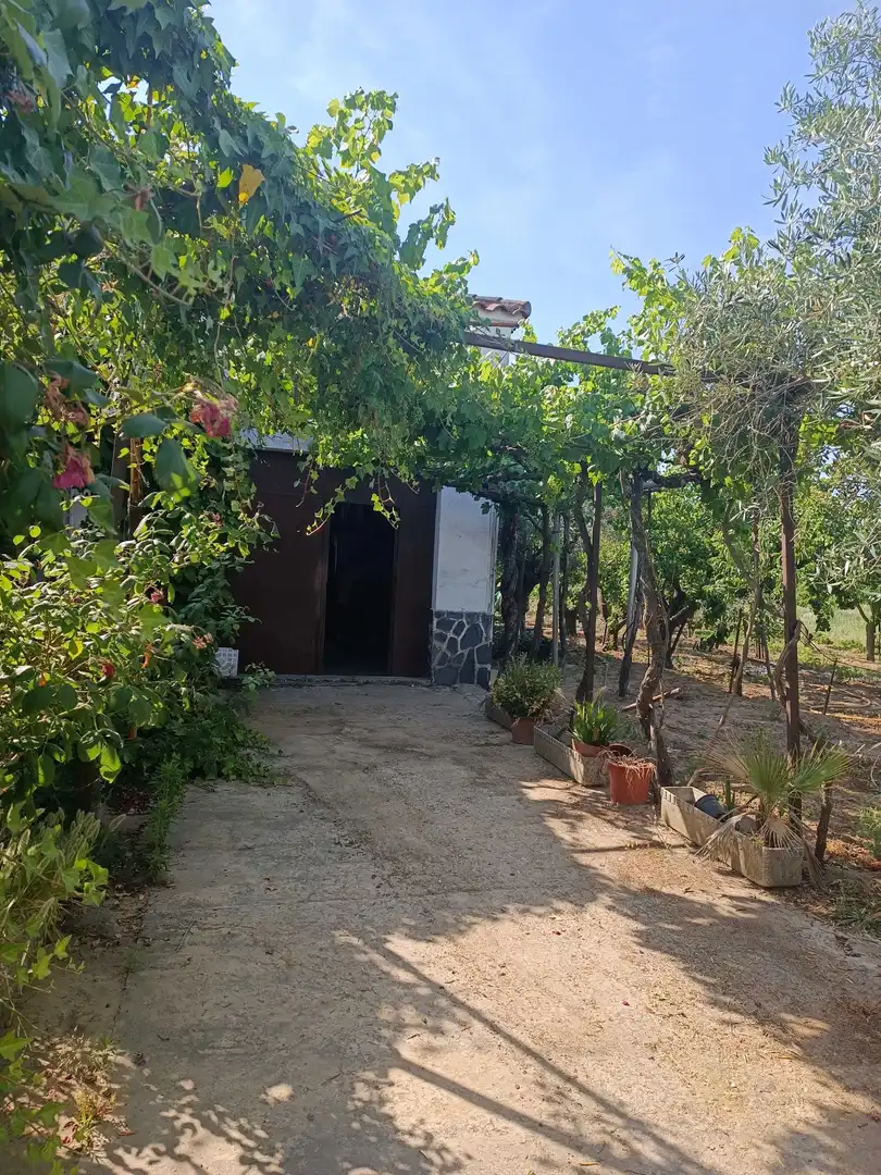 Xalet amb jardí en venda a Don Benito, imagen 20