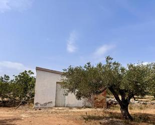 Vista exterior de Finca rústica en venda en L'Ametlla de Mar 