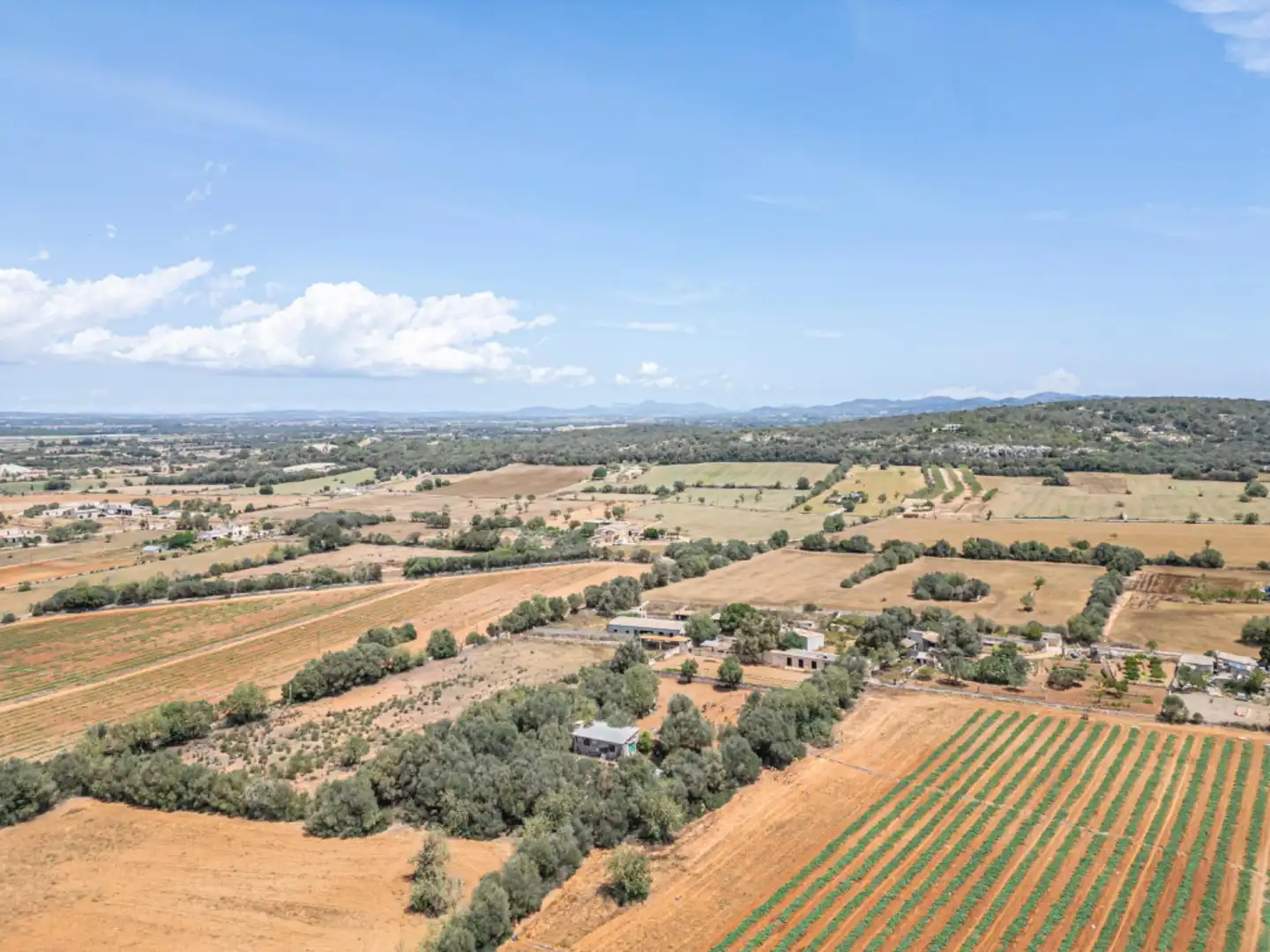 Terreno rustico in vendita a Felanitx Poble, imagen 15